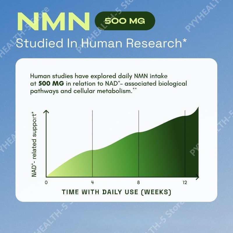 كبسولات دعم NMN NAD+ بتركيز 10 - مراجعة Wellness Quercetin وسعره